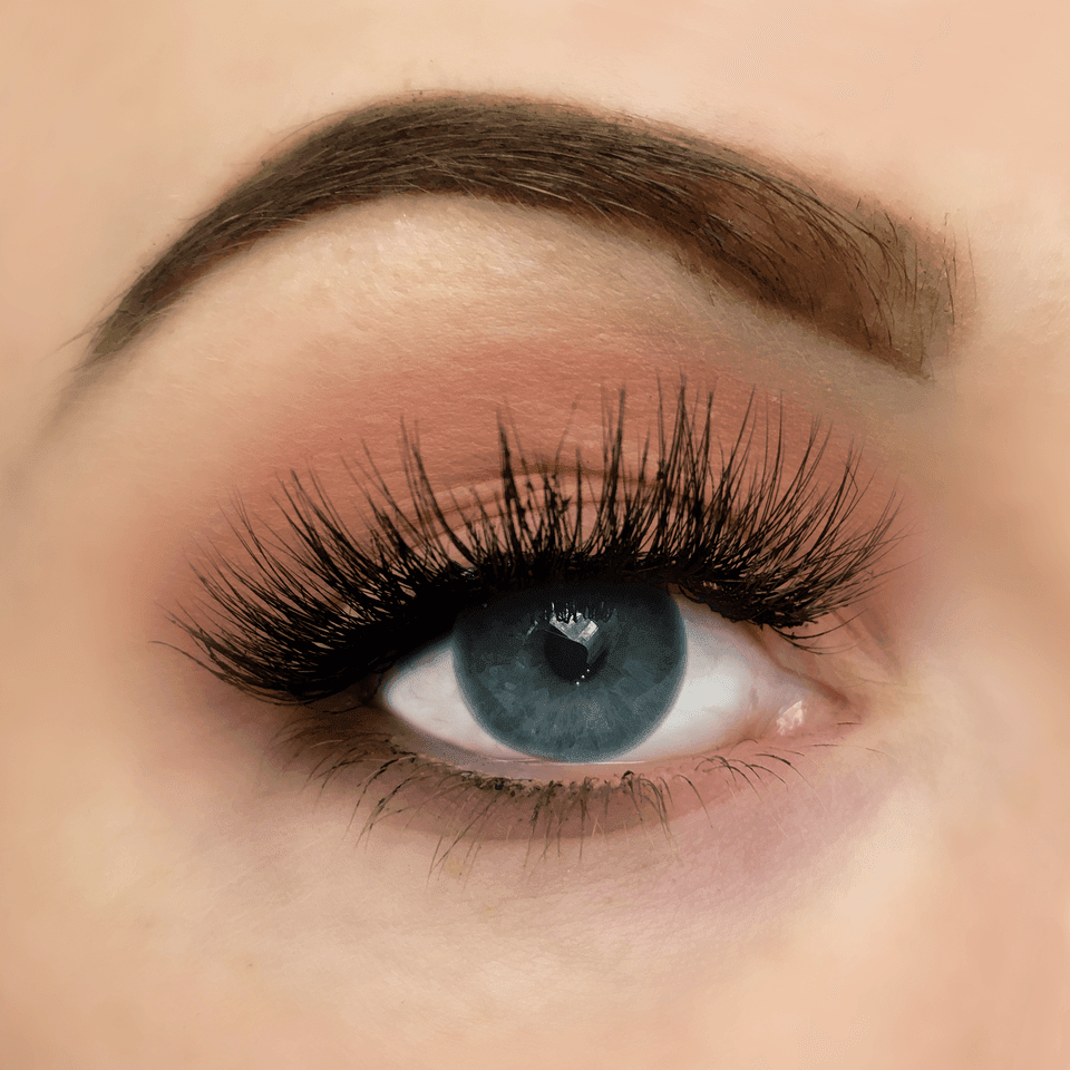 Ship wreck Lashes Ship wreck Lashes